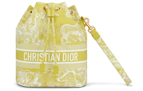 DIOR Technical Fabric Makeup Bag Toiletry Bag Travel Storage Bag Handbag Clutch Regular Women's Green Yellow