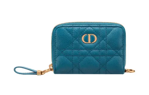 DIOR Caro Clutches