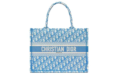 DIOR BookTote Handbag