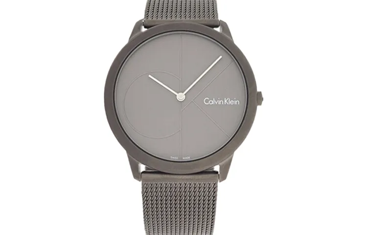 CALVIN KLEIN CK Quartz Simple Collection Wrist Watch Quartz Movement Stainless Steel Watchband Gray Dial Men's Watches