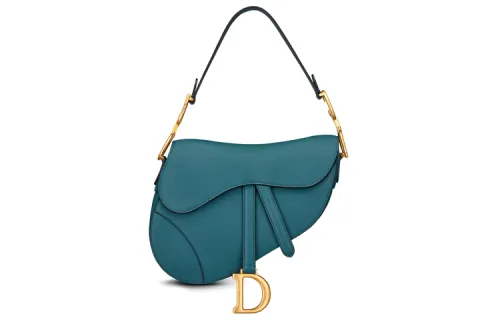 DIOR Saddle Handbags