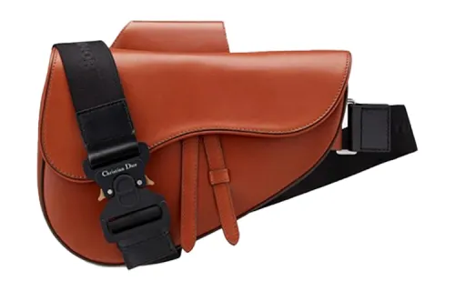DIOR Saddle Crossbody Bags