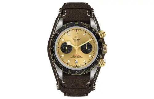 TUDOR Black Bay Chrono S&G M79363N 008
