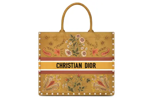 DIOR BookTote Handbags