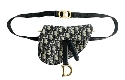 DIOR Saddle Canvas Saddle Bag, Crossbody Bag, Fanny Pack, Sling Bag Unisex Blue