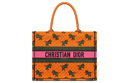 DIOR BookTote Embroidery Tote Bag, Shopping Bag, Shoulder Bag, Handbag Regular Women's Orange