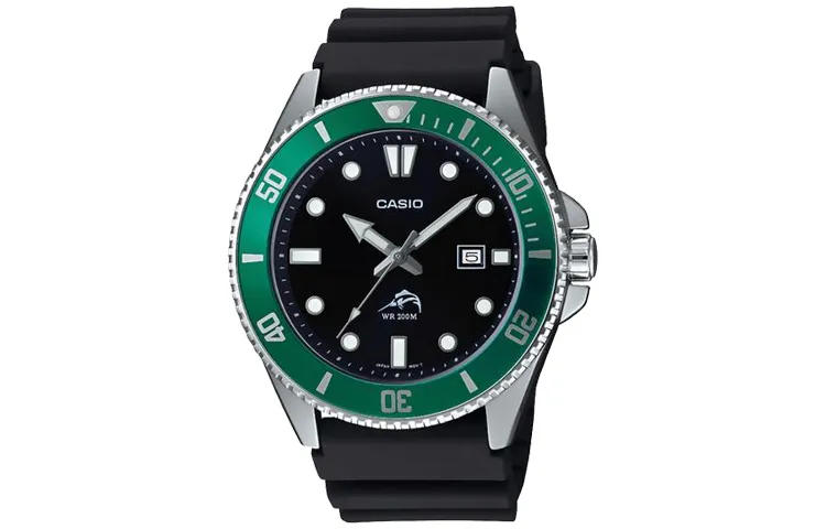 CASIO Men Standard Series Black Watch