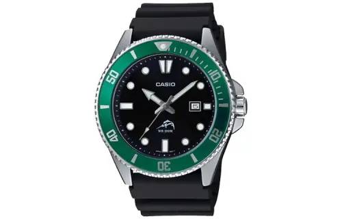 CASIO Men Standard Series Black Watch
