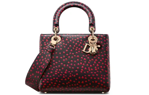 DIOR Cow Leather Handbag Regular Women's Marine Blue/Red