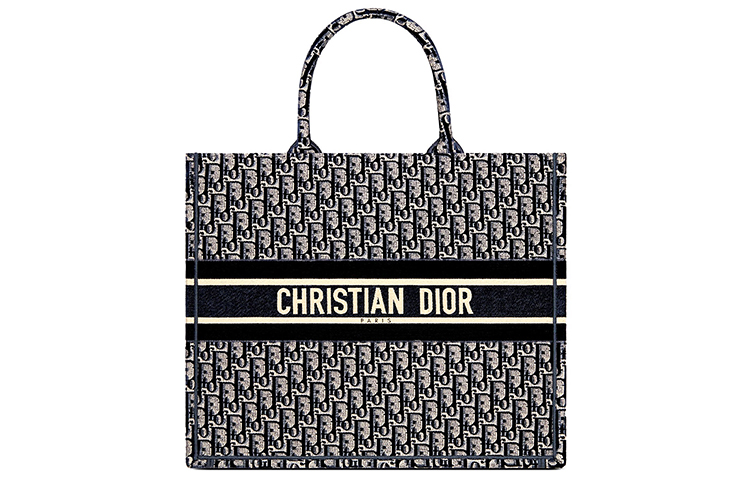 DIOR BookTote Velvet Embroidery Shopping Bag, Tote Bag, Shopping Bag, Handbag Regular Women's Blue