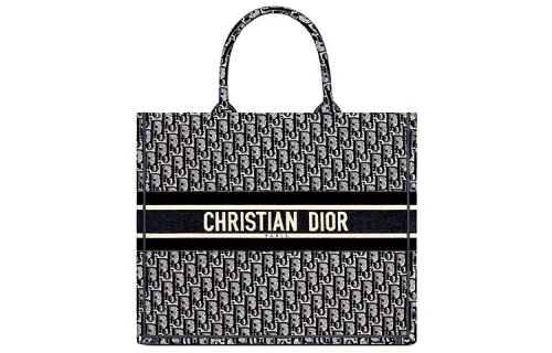 DIOR BookTote Velvet Embroidery Shopping Bag, Tote Bag, Shopping Bag, Handbag Regular Women's Blue