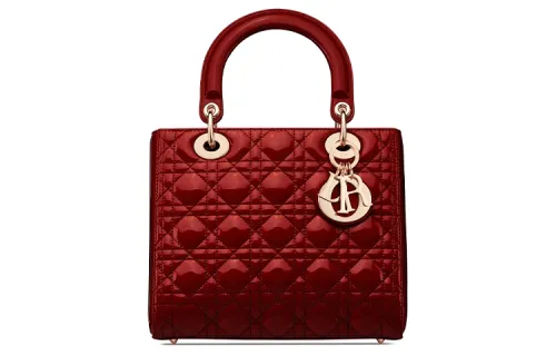 DIOR Handbags