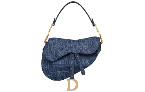 DIOR Saddle Handbags