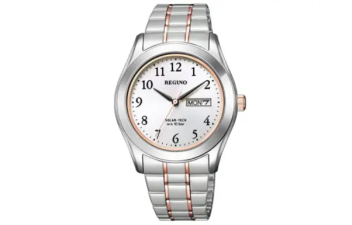 CITIZEN Ecology Drive Collection ['100', 301050]m Waterproof Light Powered Quartz Movement Stainless Steel Strap