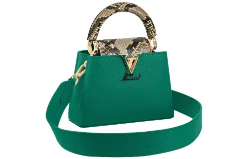 LOUIS VUITTON Capucines Handbags