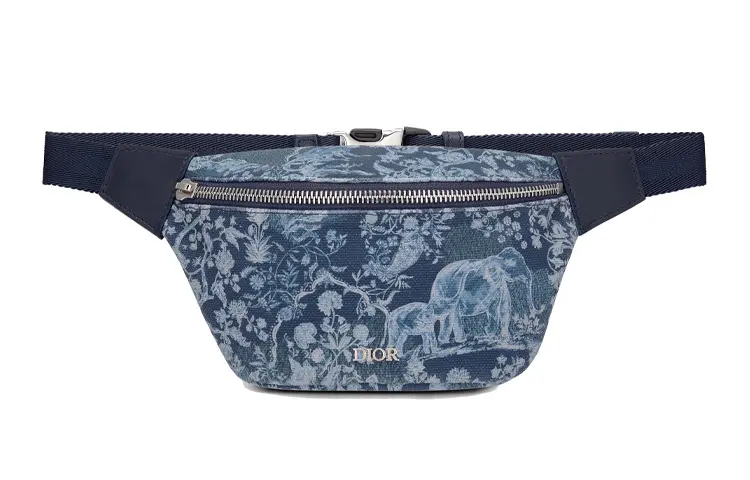 DIOR Fanny Packs