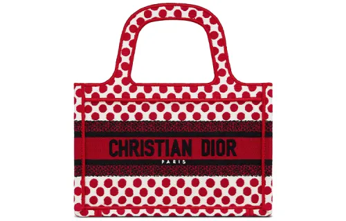 DIOR BookTote Handbags
