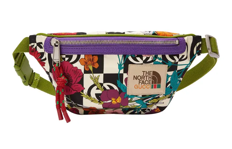 THE NORTH FACE X GUCCI Fanny Packs