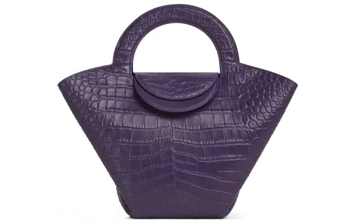 Bottega Veneta Handbags