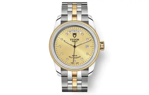 TUDOR Jun Jue Series Automatic Mechanical Movement Men's Watches Watch 39mm Gold Dial Stainless Steel Watchband