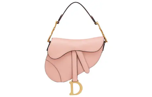 DIOR Saddle Handbags
