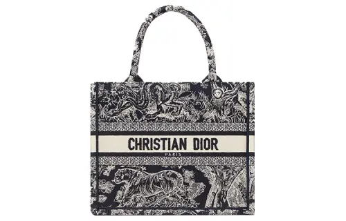 DIOR Small DIOR Book Tote Bag Toile De Jouy Reverse Embroidery