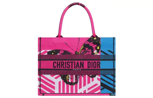 DIOR BookTote Handbags