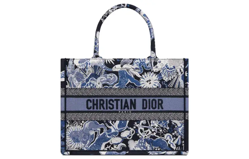 DIOR BookTote Embroidery Tote Bag, Shopping Bag, Handbag Women's Multicolor