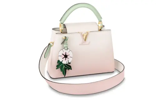 LOUIS VUITTON Capucines Handbags