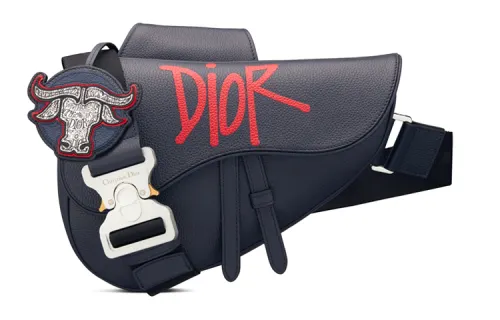 DIOR Saddle Crossbody Bags