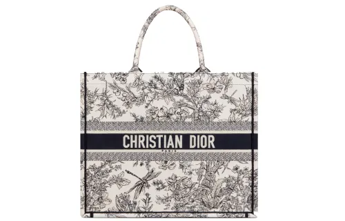DIOR BookTote Handbags