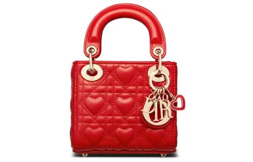 DIOR Lady Dior Handbags