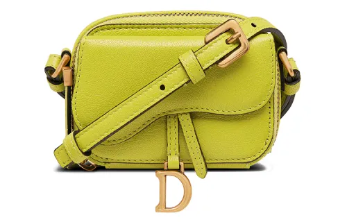 DIOR Sheepskin Saddle Bag, Handheld Shoulder Bag, Crossbody Bag Regular Women's Green Yellow