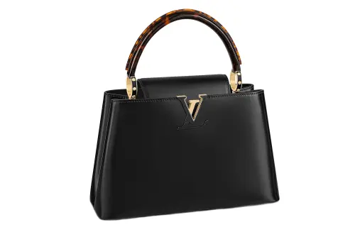 LOUIS VUITTON Capucines Handbags