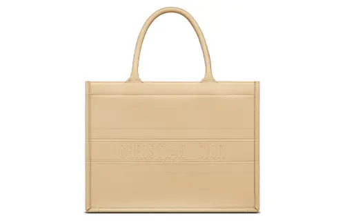 DIOR BookTote Open Top Smooth Cow Leather Handbag Small Women's Lava Brown