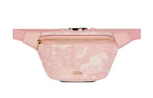 DIOR Fanny Packs
