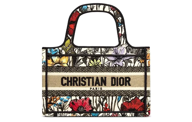 DIOR BookTote Canvas Bag, Tote Bag, Shopping Bag, Handbag Mini Women's Multicolor