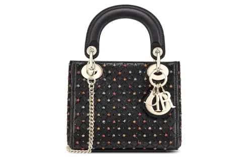 DIOR Handbags