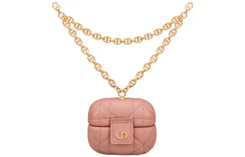 DIOR Earphone Cases