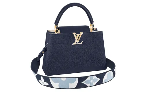 LOUIS VUITTON Capucines Handbags