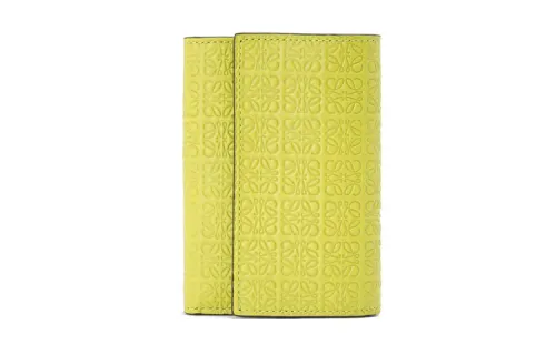 LOEWE Wallets