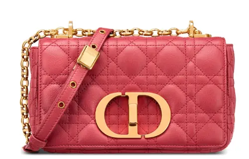 DIOR Caro Series Crossbody Bags