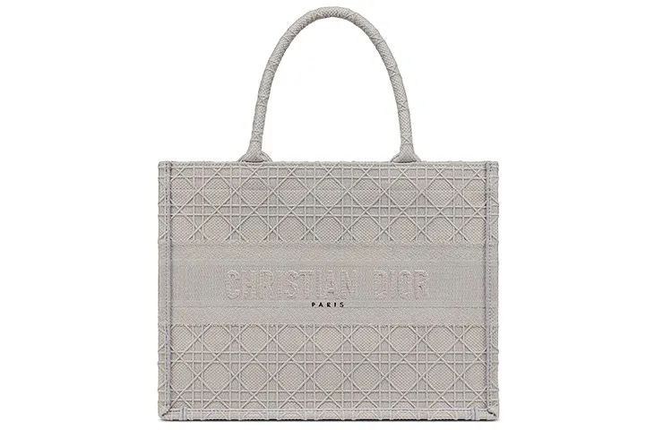 DIOR BookTote Handbags