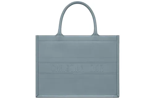 DIOR BookTote Handbags