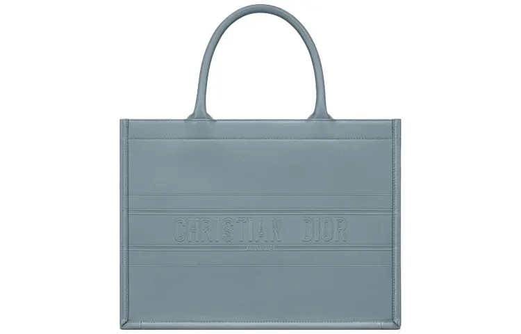 DIOR BookTote Handbags
