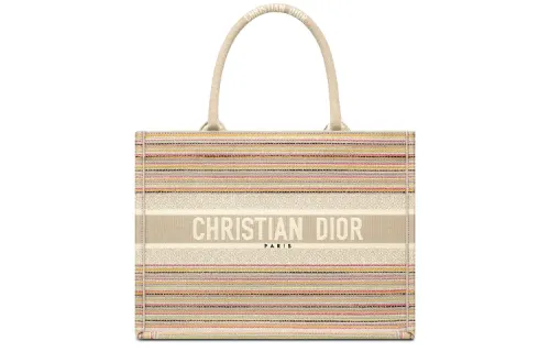 DIOR BookTote Embroidery Handbag Medium Women's Multicolor