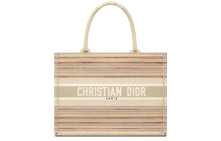 DIOR BookTote Embroidery Handbag Medium Women's Multicolor