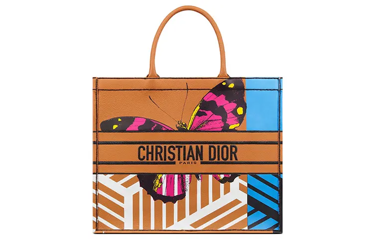 DIOR BookTote Handbags