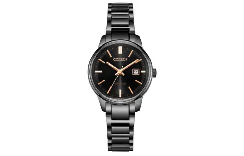 CITIZEN Ecology Drive Collection Light Powered Quartz Movement Stainless Steel Strap Watch