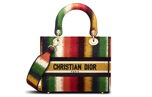 DIOR Canvas Handbag Medium Women's Multicolor
